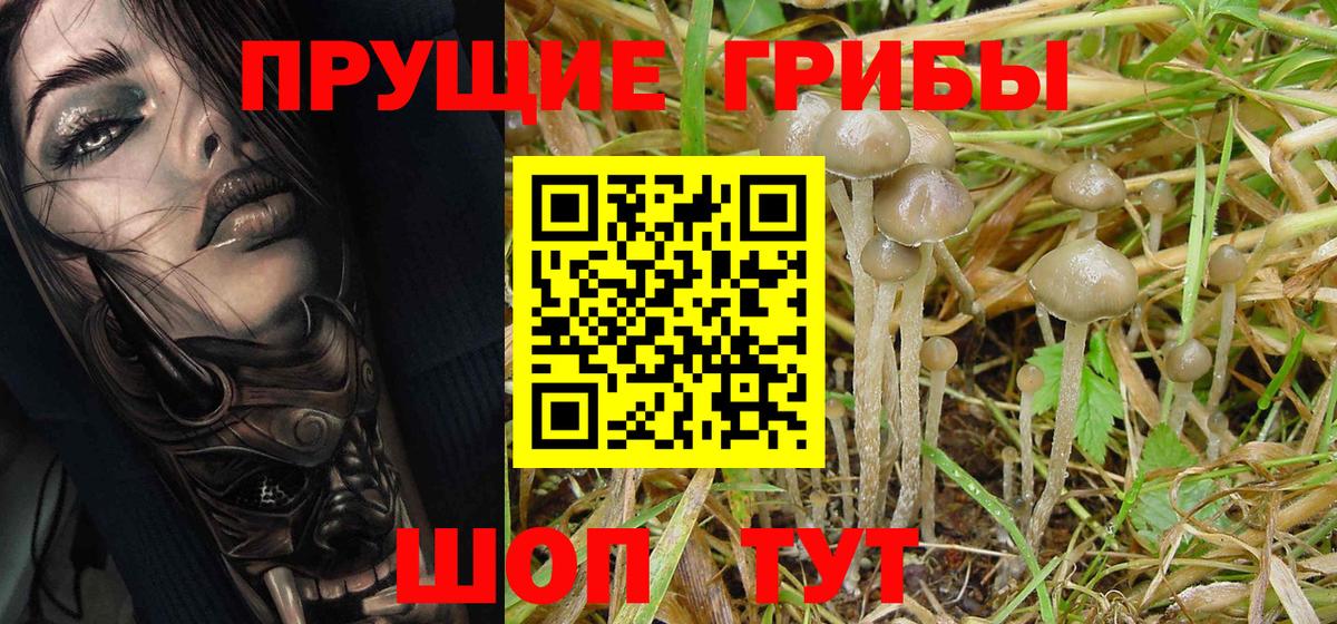 Галлюциногенные грибы MAGIC MUSHROOMS  Вход с VPN  Можга 