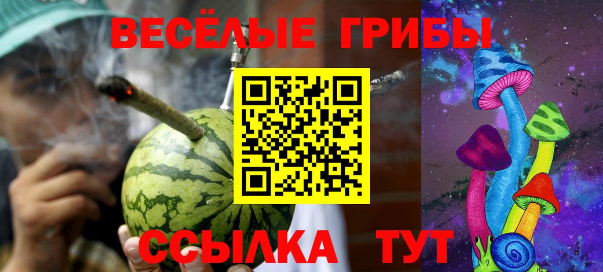 Псилоцибиновые грибы GOLDEN TEACHER Можга